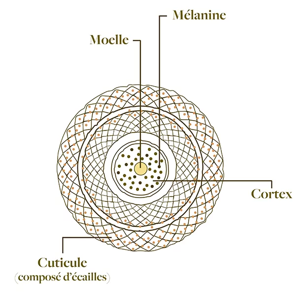 découvrez les origines et le fonctionnement de l'oracle gaïa, un outil divinatoire inspiré de la nature et de la sagesse ancienne.